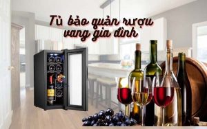 Tủ bảo quản rượu vang gia đình